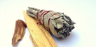 Czy Palo Santo jest niebezpieczne? Czy Palo Santo jest niebezpieczne?
