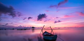 Czy kolor kabla ma znaczenie? Czy kolor kabla ma znaczenie?