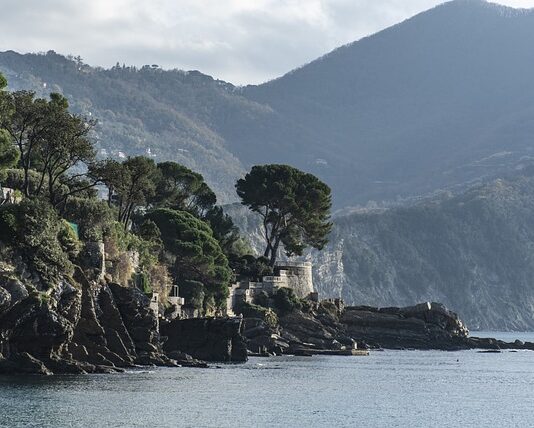 Ile kosztuje wymiana sprężyn w wersalce?