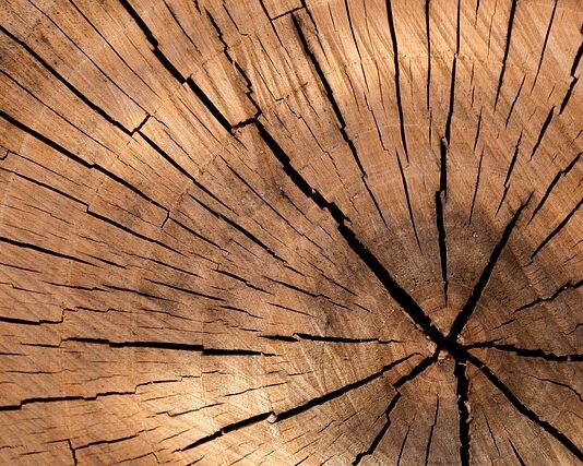 Ile drewna na ogrzanie domu 150m2?